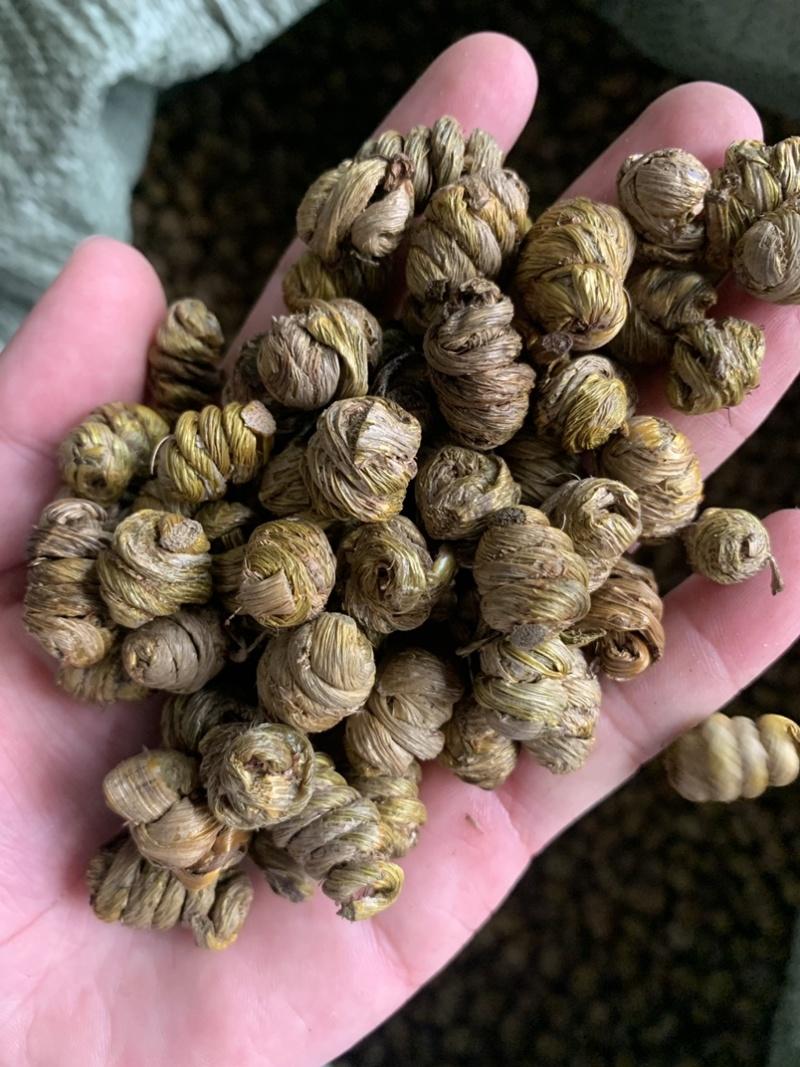 石斛这味好药，是很多糖尿病患者的及时雨！

我为何说是好药呢？石斛能清热、能生津