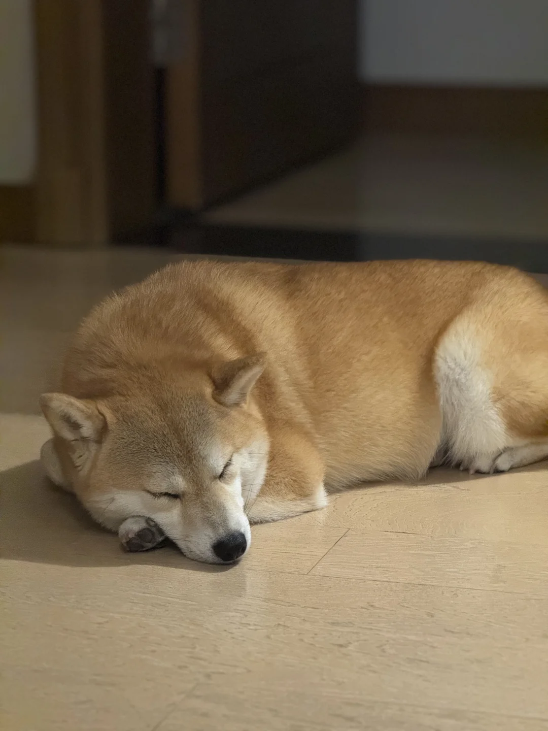 夏天喜欢睡地板