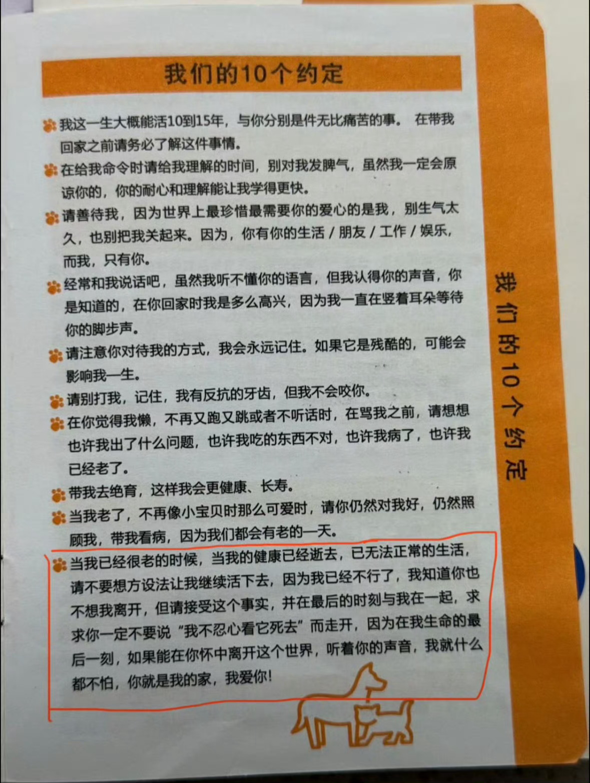 这个世界不能没有小狗 ​​​
