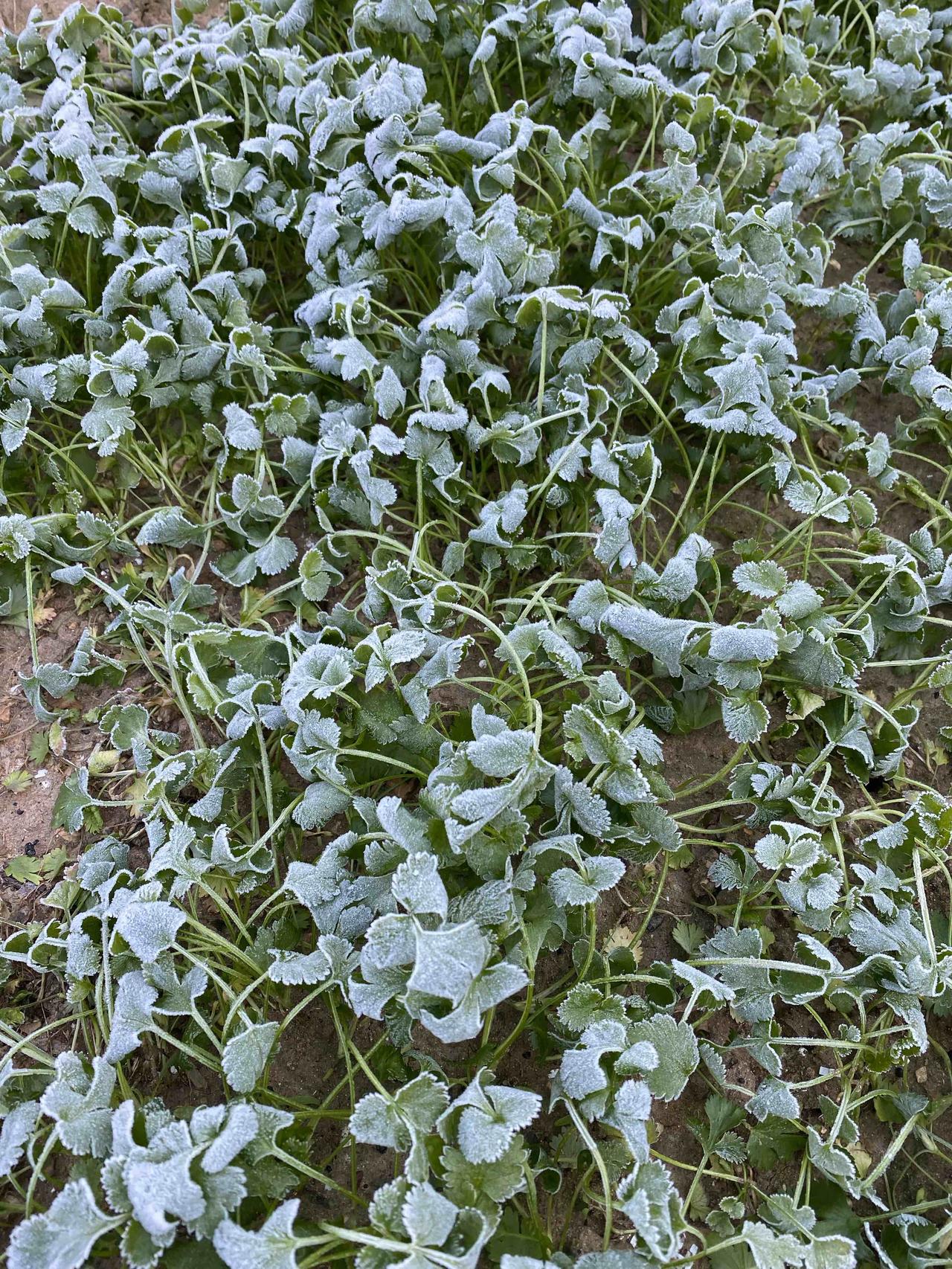 万能生活指南上个星期穿一件还汗流浃背，后来下了两天雨，到后来就降温了，本来想着一
