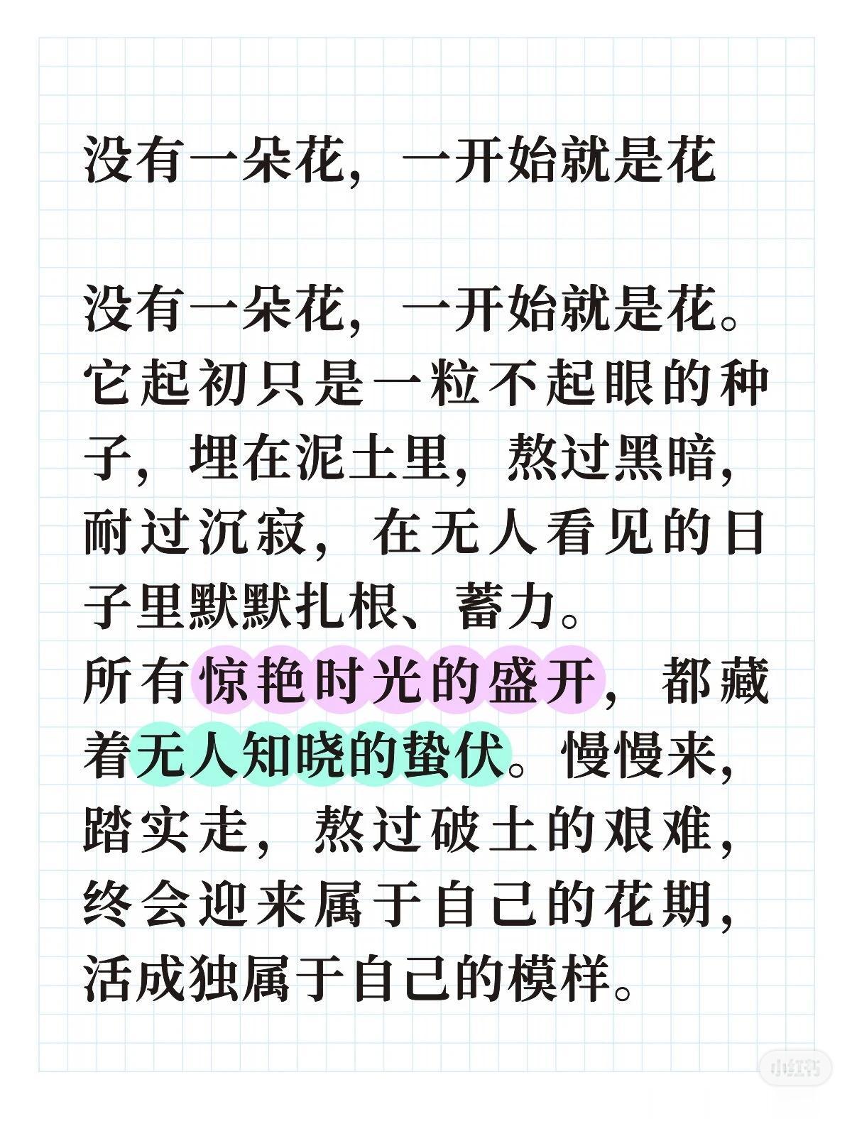 没有一朵花，一开始就是花
没有一朵花，一开始就是花。它起初只是一粒不起眼的种子，