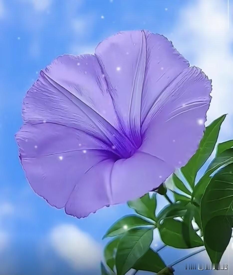 岁月因相逢而惊艳，心绪因风景而温柔。揽一帘幽梦，守本心安然， 平淡自在，喜乐常伴