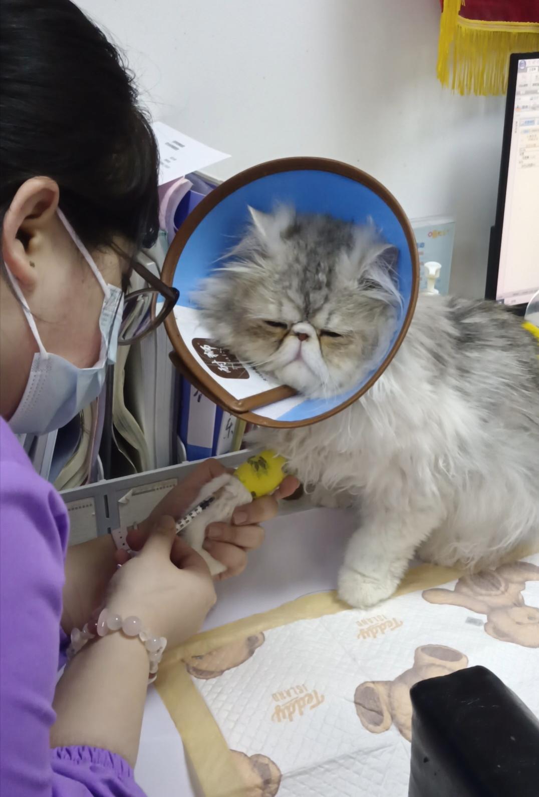 再爱前面，原则什么都没用了。
我之前，最反感的就是老人过度医疗。
几十岁了，还满