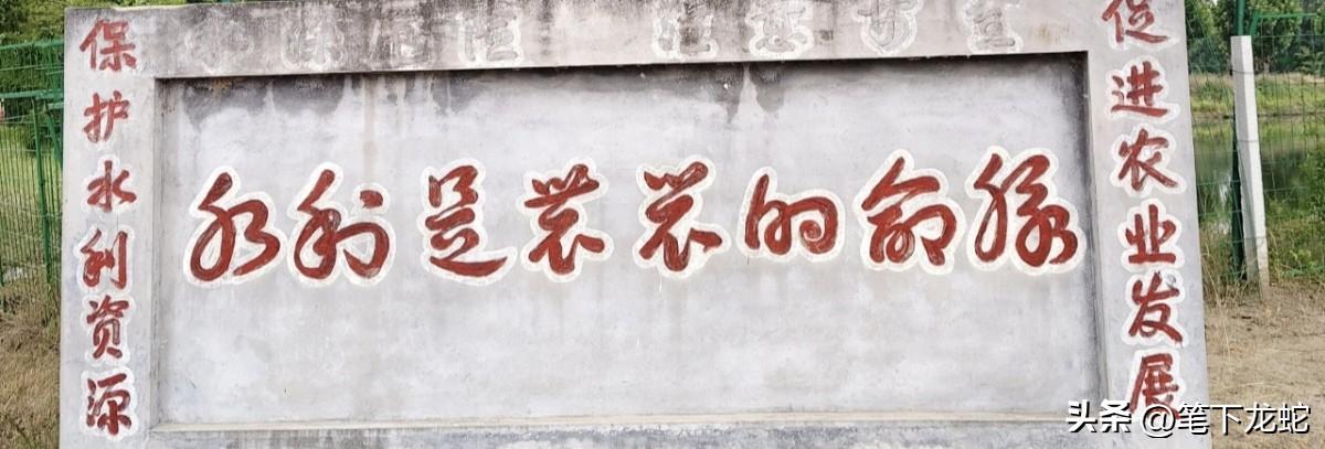 中间这8个字读什么？看得让人蒙圈