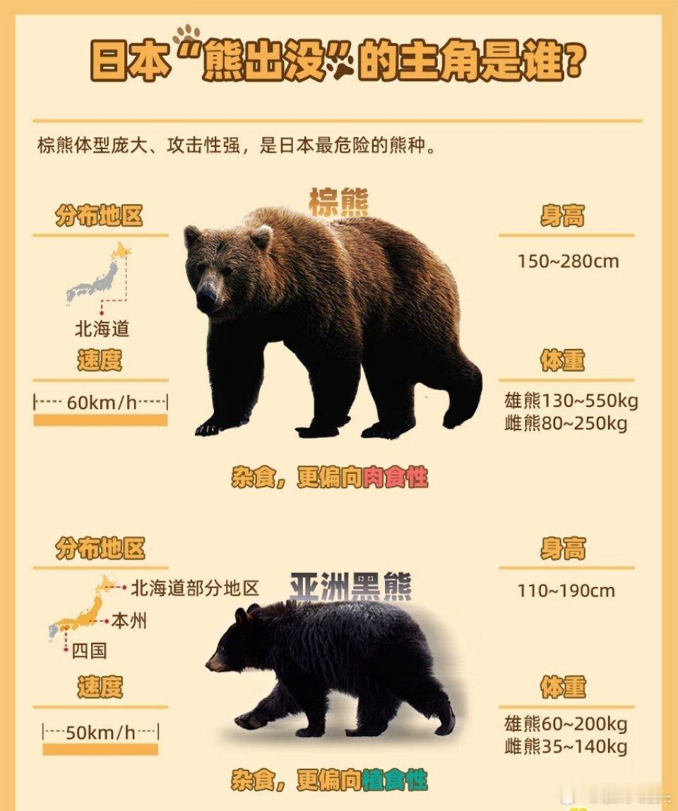 北海道熊尸体多到装不下了文明国家不是流浪猫狗都不能伤害吗？怎么能够伤害野生动物？