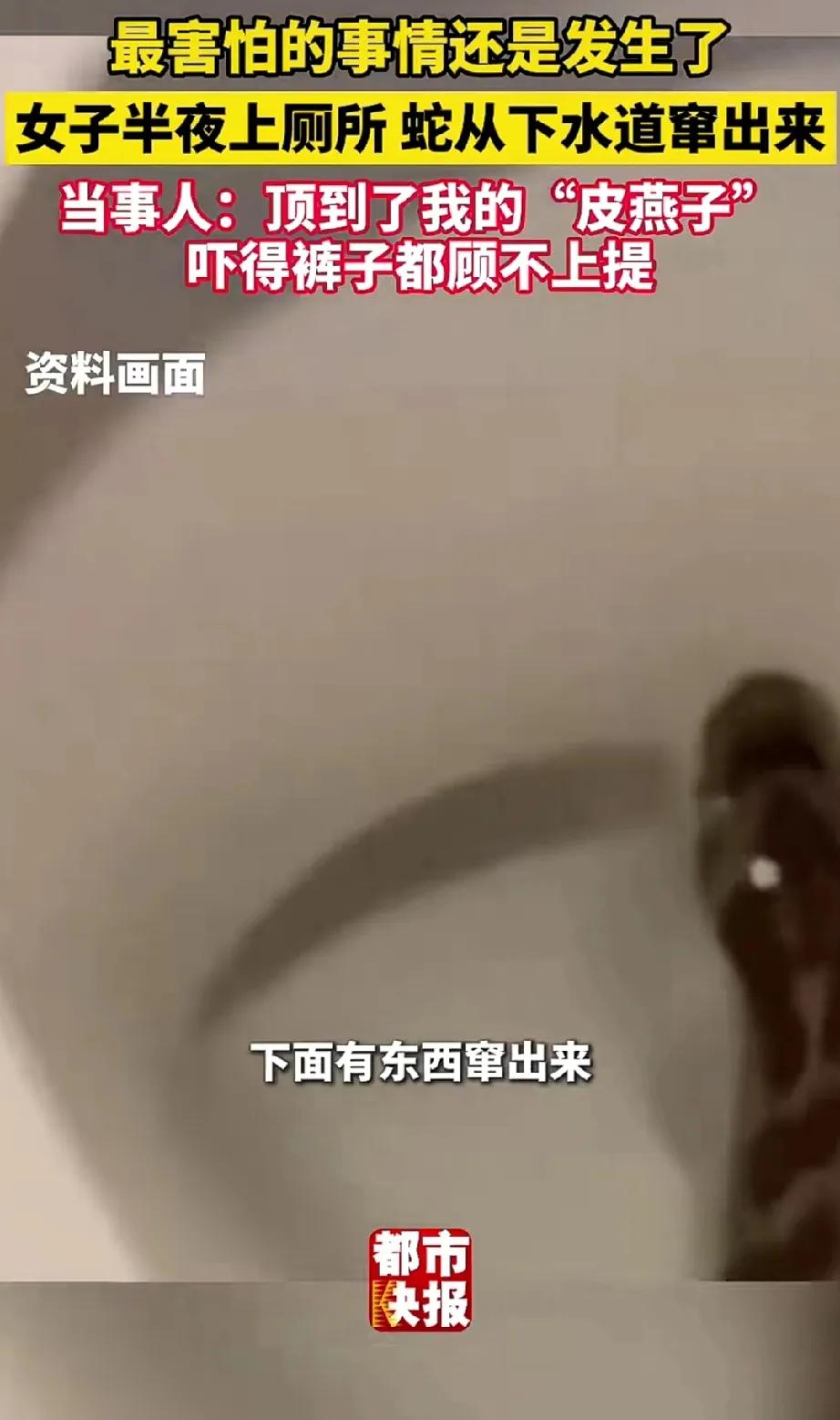这下子，不光无锡人们知道了！全国人们都知道了…

知道了女生上厕所被辣条顶了皮燕