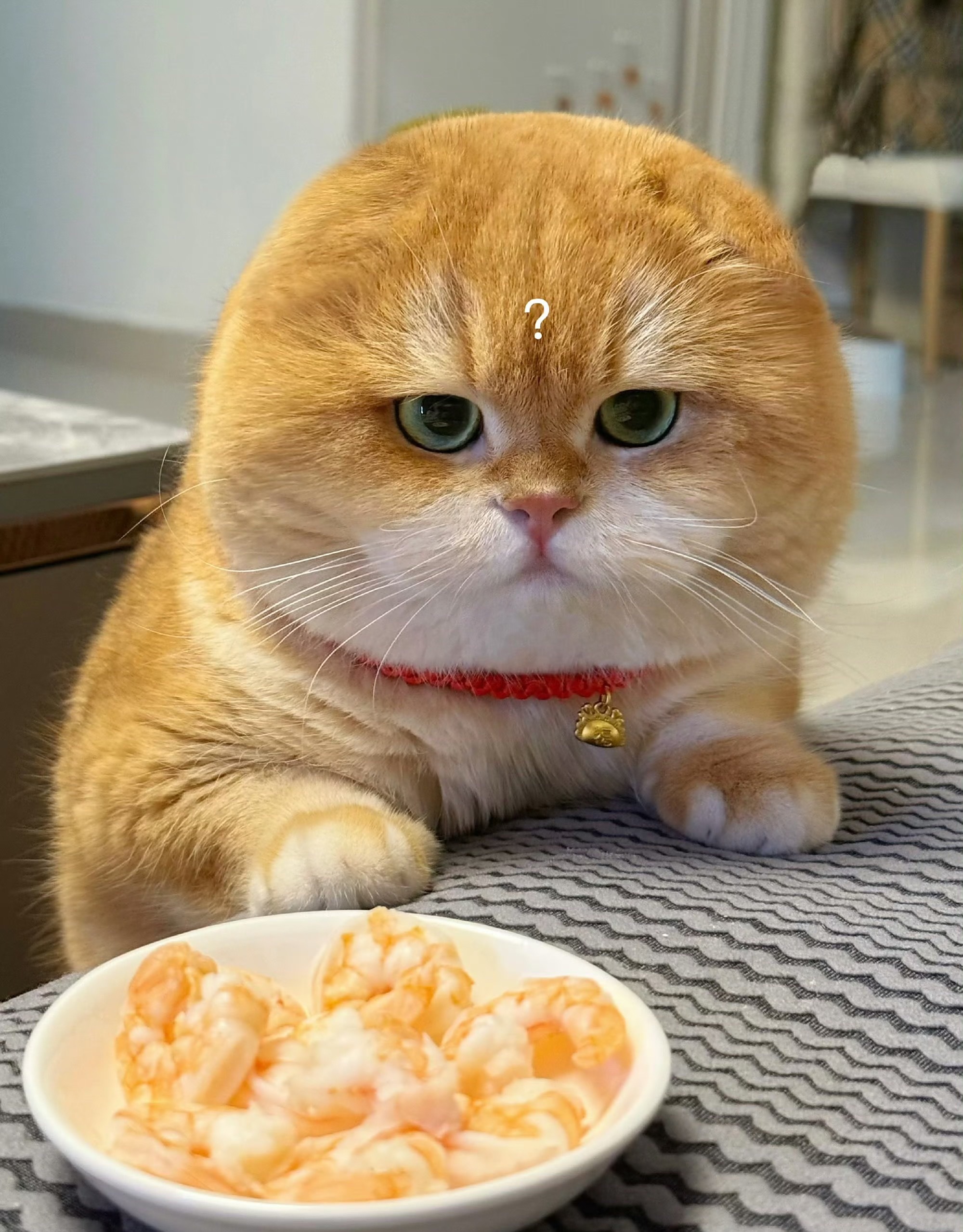 早上好！周末愉快！ ​​​