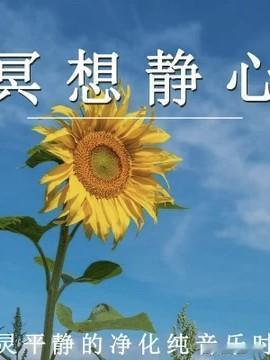 怎样忘掉生活中的烦恼忘掉烦恼，不如去拥抱生活：走进青山绿水间，让自然治愈心灵；捧