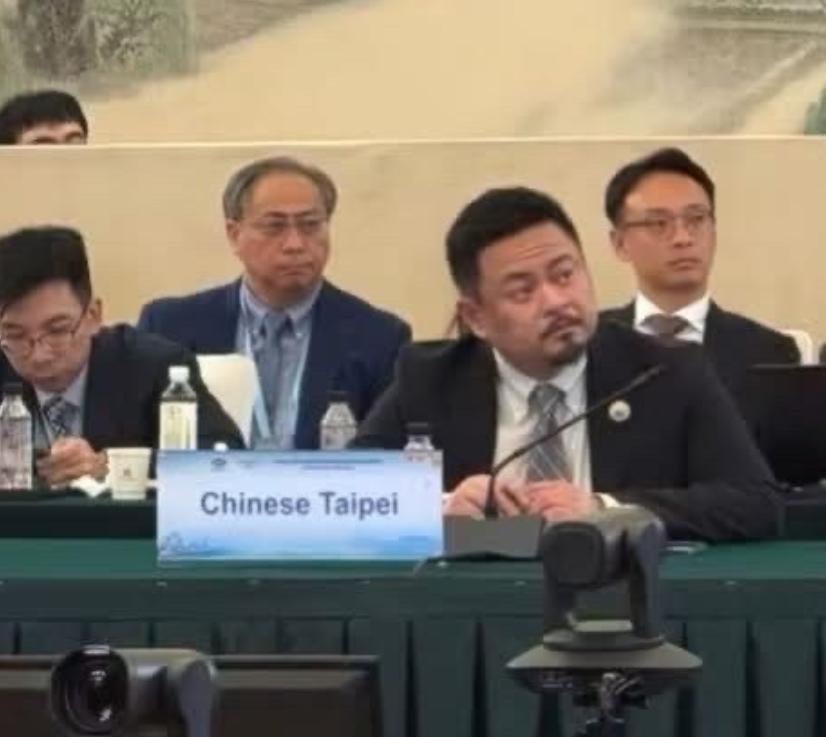 洪申翰以中国台北经济体代表身份，参加在南京举办的第八届 APEC 人力资源发展部