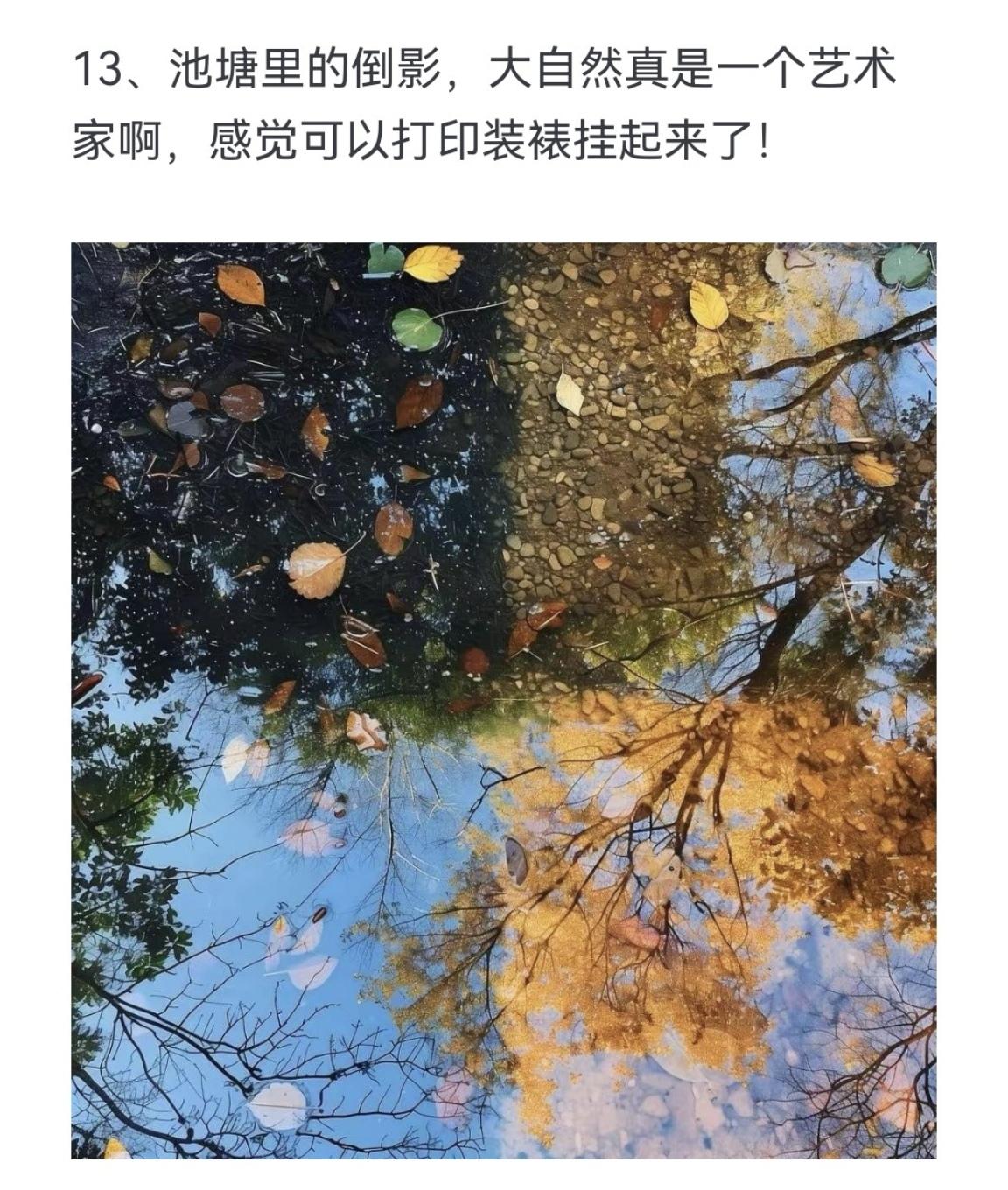 池塘里的倒影，大自然真是一个艺术家啊，感觉可以打印装裱挂起来了