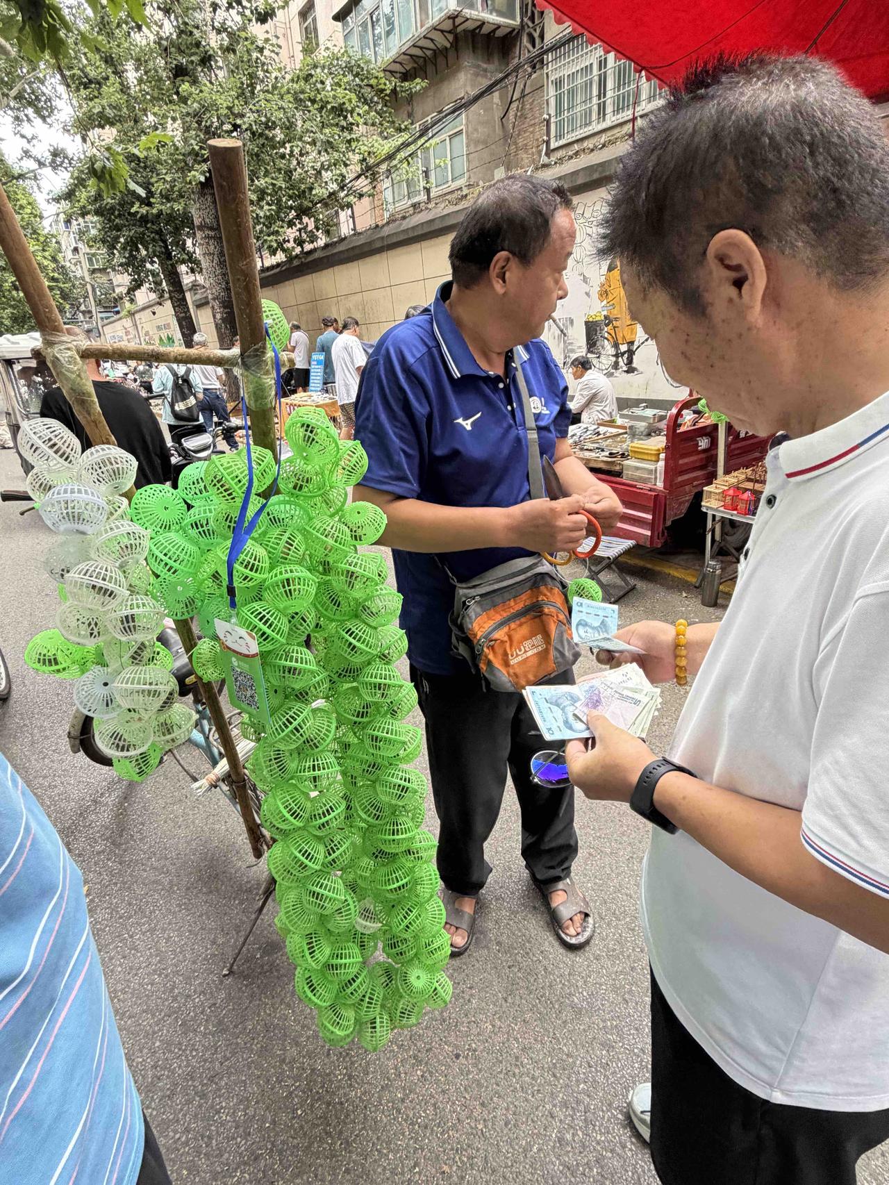 前天上午，我逛西安档子，走到西仓西巷时，看到一家售卖昆虫的摊子，围着顾客，就走了