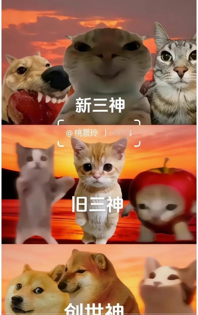 梗图 此图有梗