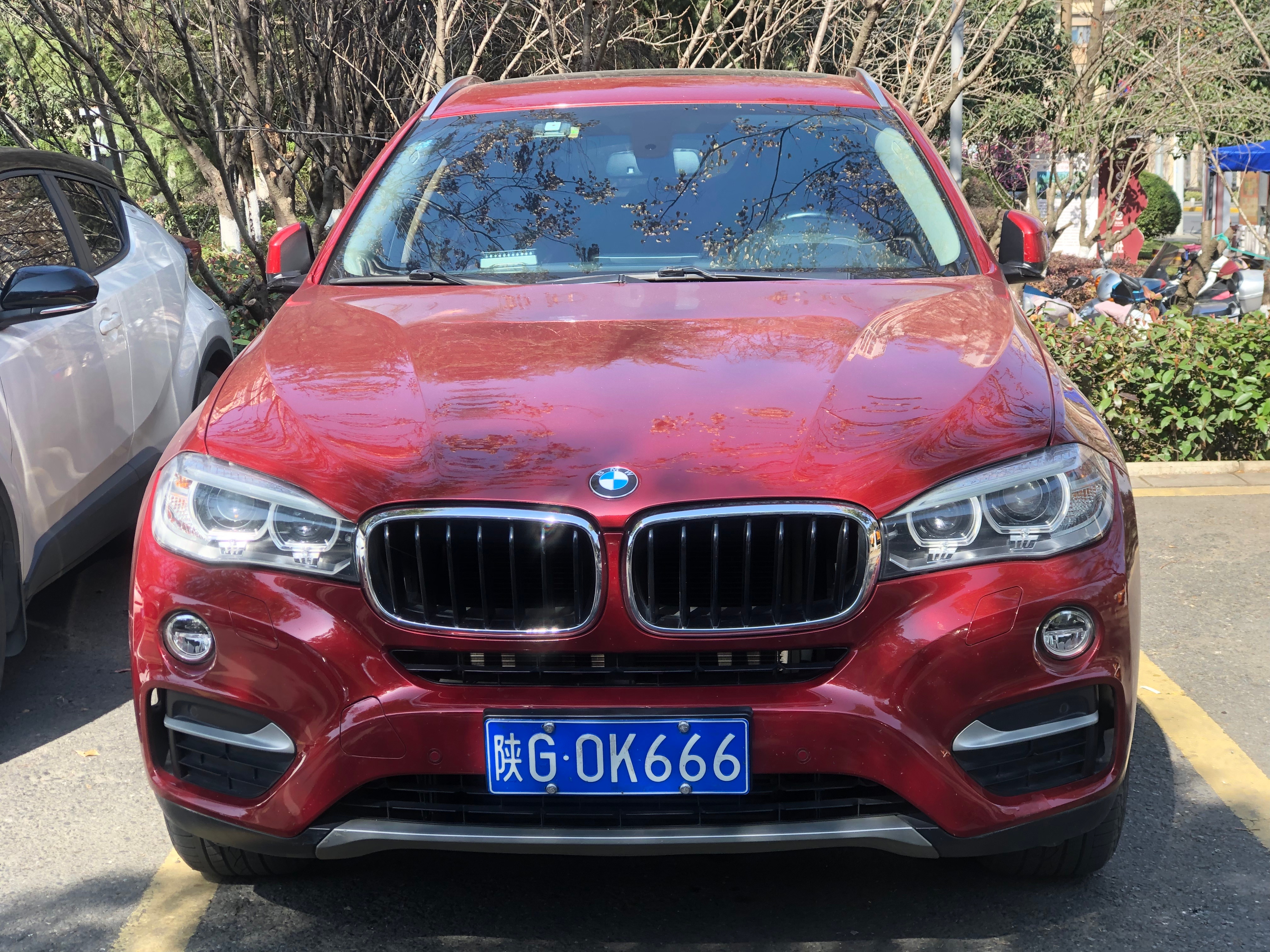 全球车牌 陕G0K666宝马X6 安康