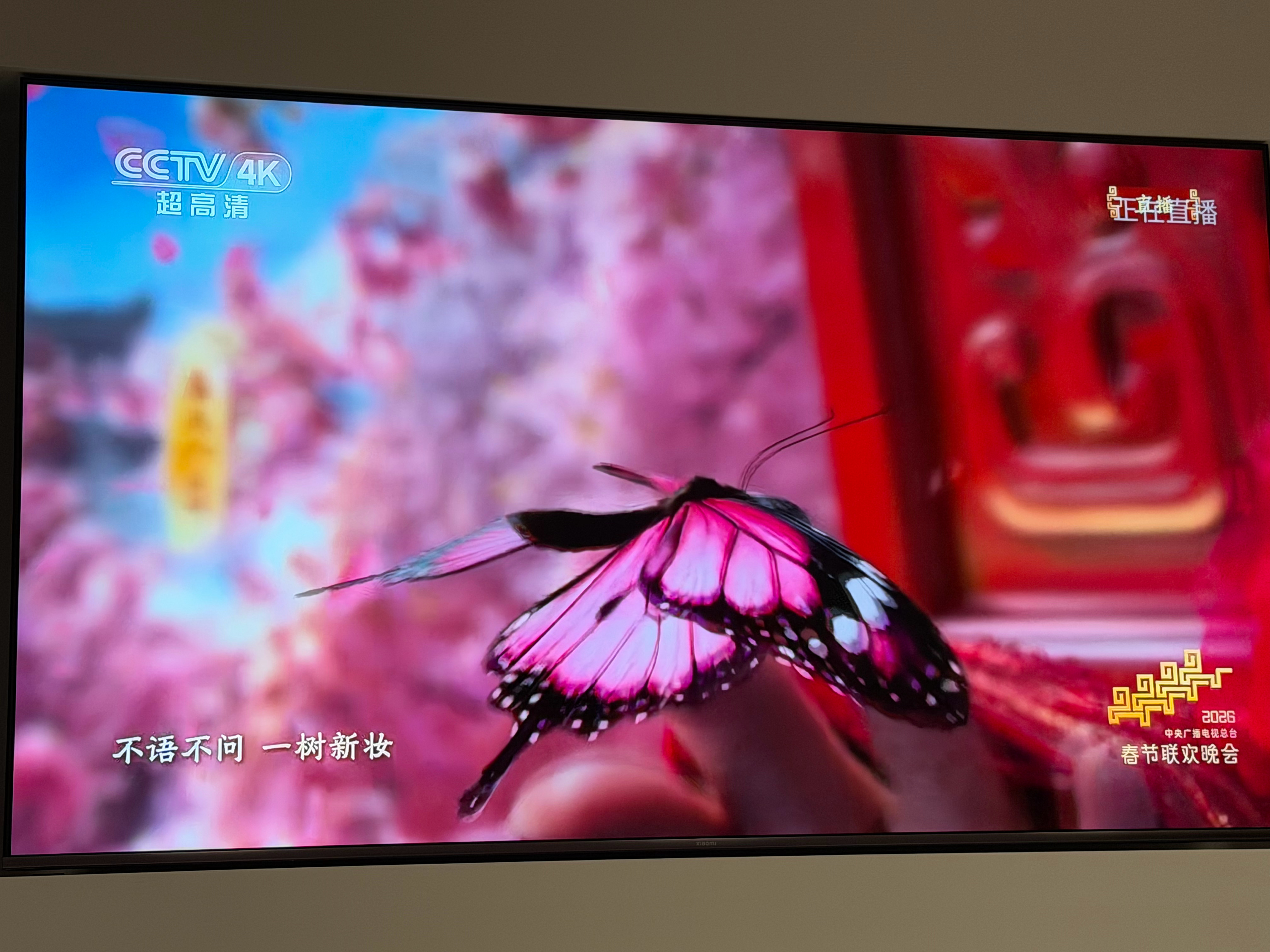 春晚贺花神用的是豆包Seedance今年春晚最让我挪不开眼的，一定是《贺花神》。