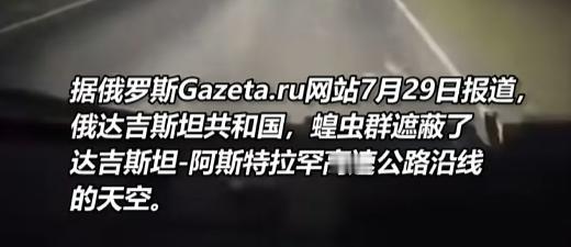 “你见过蝗虫雨吗？就是挡风玻璃都看不清的那种！”俄罗斯达吉斯坦，一条高速上突然下