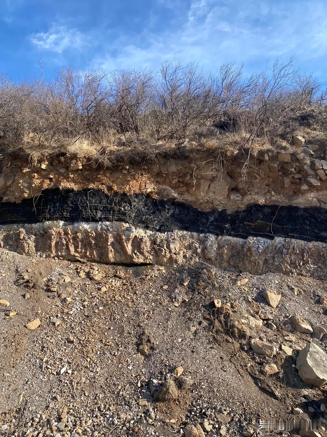 山西：一个遍地都是煤的地方。几乎每次出野外都能看到煤…有一些埋藏比较浅的，都贴近