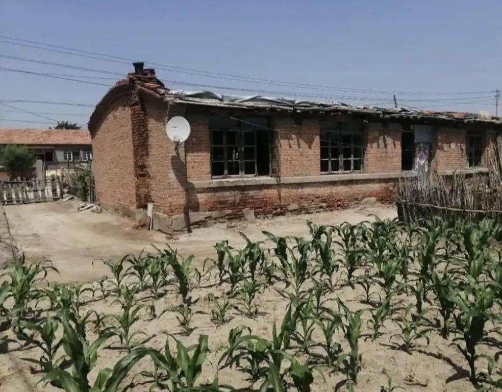 辽宁，一男子远在天津打工，家中父母早已过世，他明知家里没人，却依然驱车千里赶回老