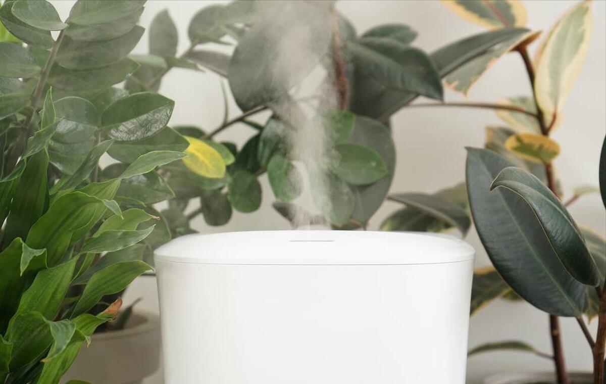 “加湿器肺炎”这锅加湿器不背！
第一次听说加湿器会导致肺炎，是娃3个月时！

别
