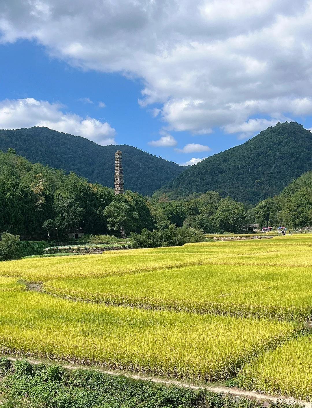 浙江有一座寺庙，口碑比洛阳白马寺还要好，它就是位于浙江台州天台县的国清寺。

国