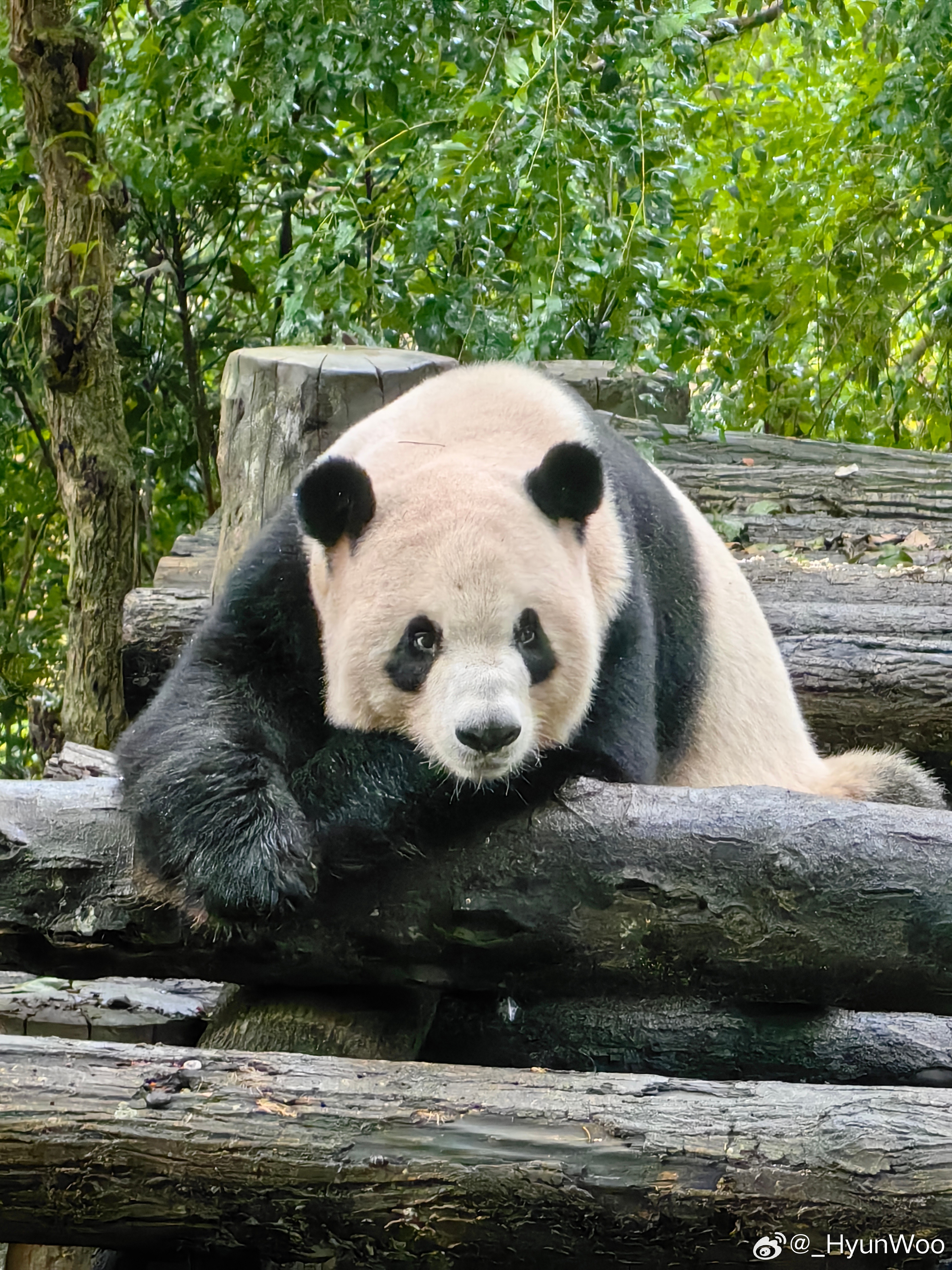 9.13 早上好，功仔大哥 ​​​