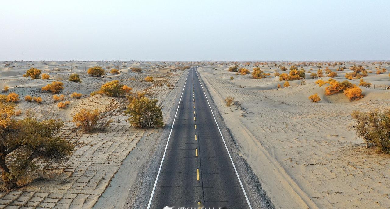 地方环保动态【金色胡杨点缀大漠，沙漠公路也是生态长廊】十月的塔克拉玛干沙漠，迎来