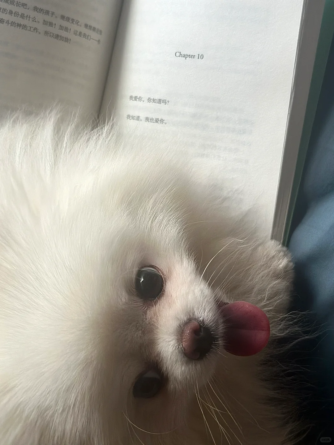 我爱你，你知道吗？