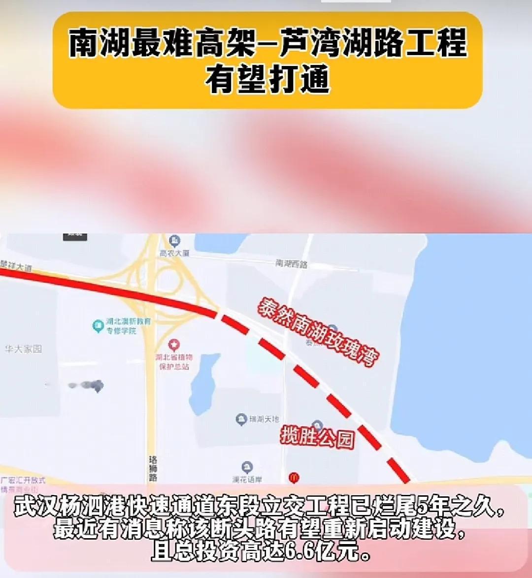 杨泗港快速通道东段立交工程——芦湾湖路工程将重新启动建设。芦湾湖路工程因各种原因