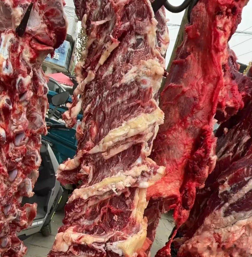 我妈说想吃牛肉，一大早我开车去市场买牛肉，没想到今年牛肉这么便宜？一斤二三十块钱