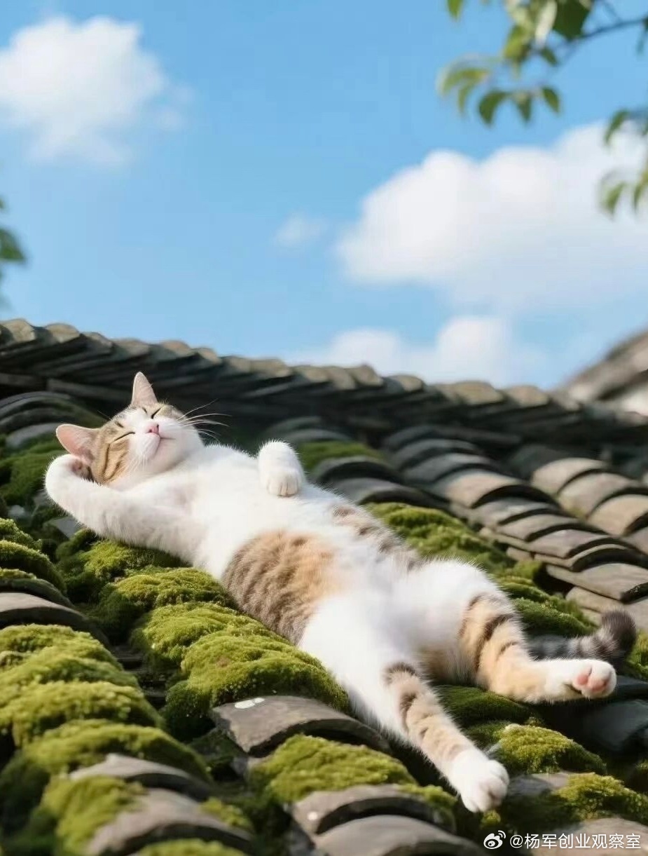 别让你的股权激励，从“金手铐”变成“炸药包”一份不完整、不清晰的协议，往往是未来