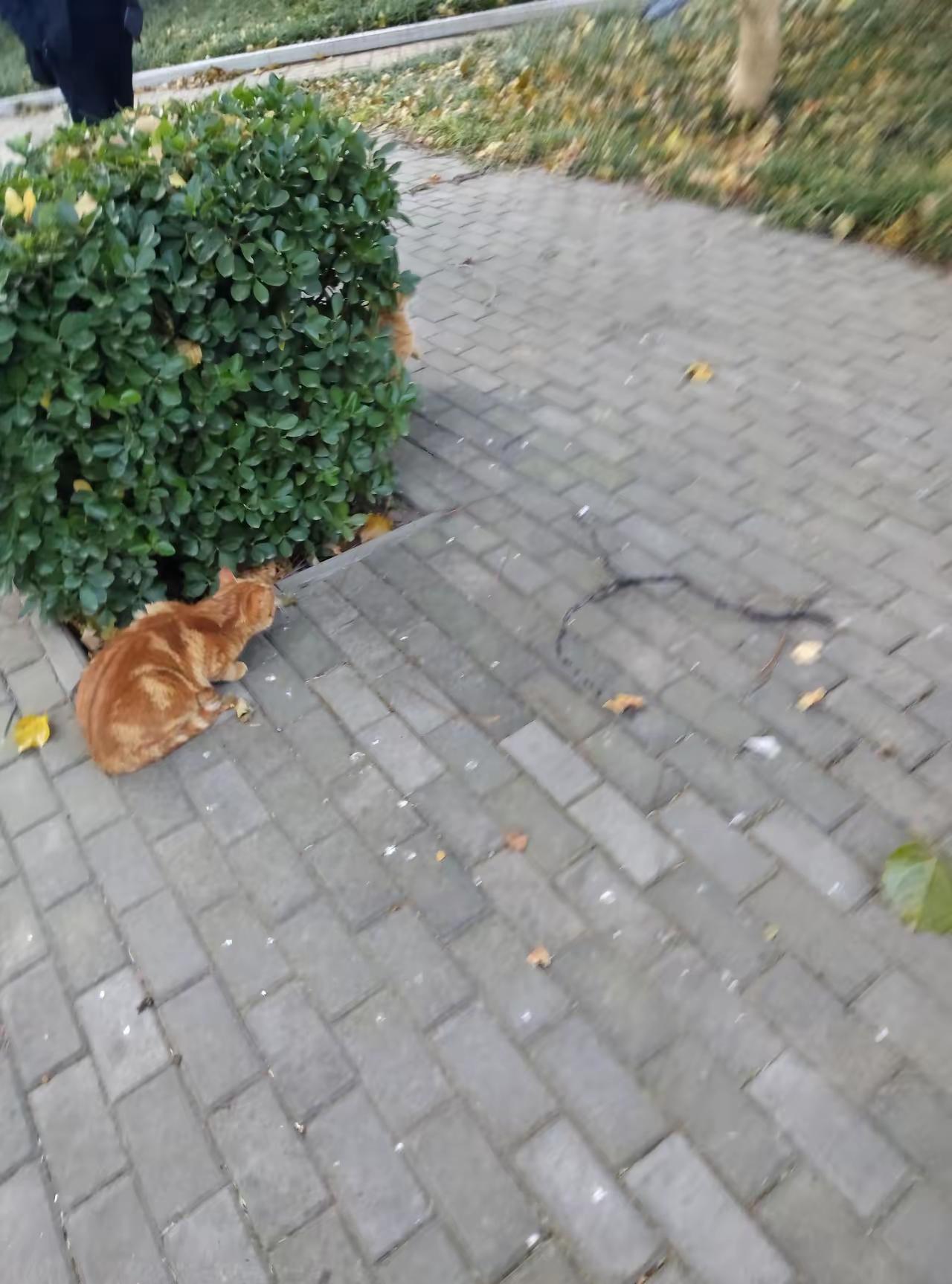 想想自己都乐！
早睡早起挑灯夜战，两眼昏花乐此不疲，就为了那点儿分、角吗？平时地