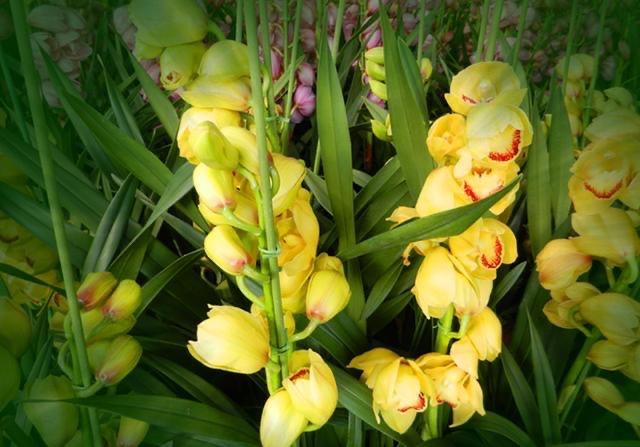 中年必修课：牵着孩子的小手，才是真正的“拥有”！


哎呀，说到中年，真是人生的