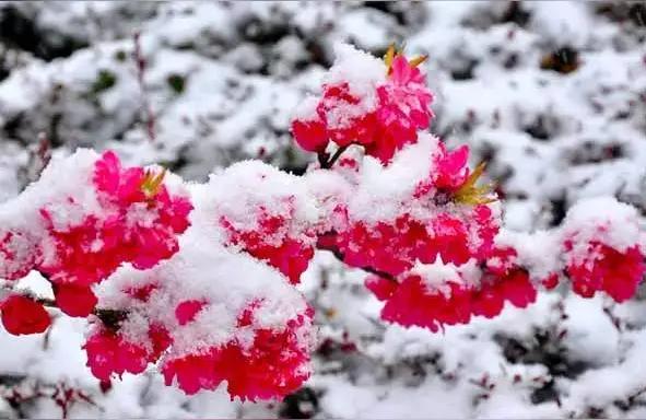 对句
雪捂大地如知已。
[比心][比心][呲牙][呲牙][星星眼][笑哭][大笑