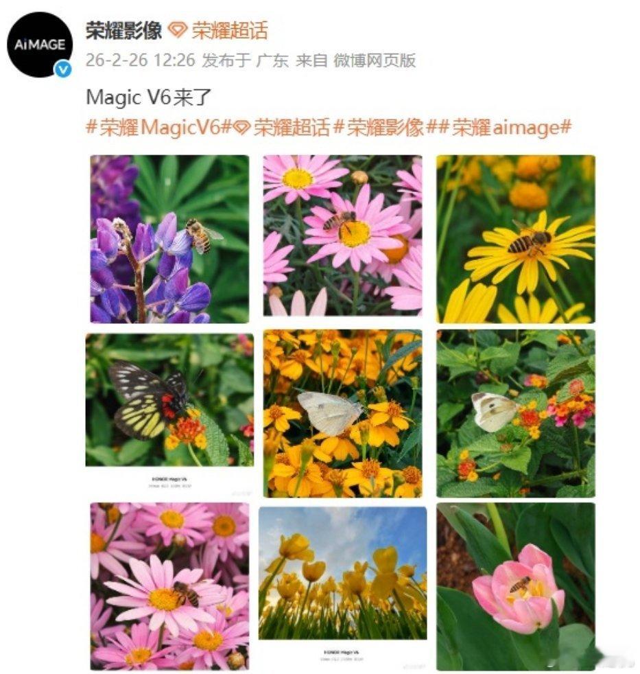 荣耀 Magic V6 折叠屏新机拍摄样张公布，新机将延续 AiMAGE 影像能