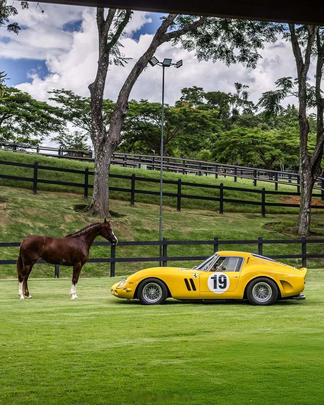 ClassicCars  Ferrari 250GTO