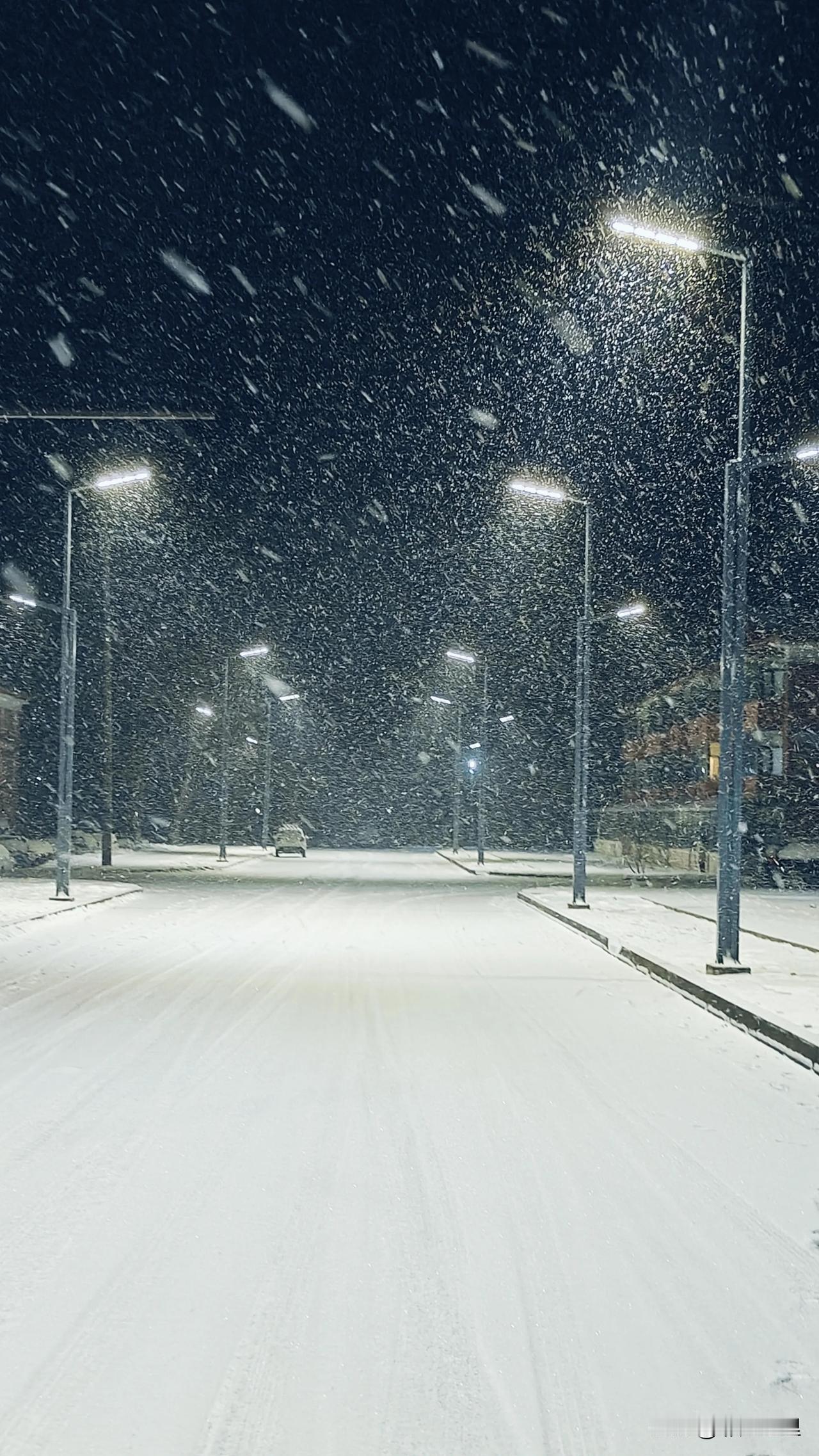 来青海短短三个多月，把在山东十年的雪都下完了，又是大雪纷飞的一天！

青海日记第