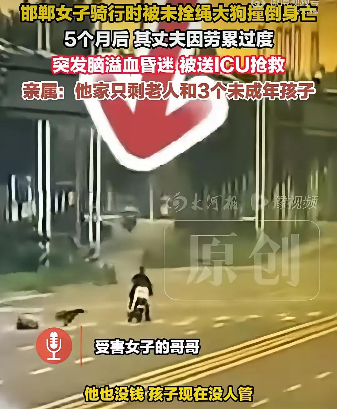 女子被大狗撞倒身亡，丈夫讨公道住进ICU，三个孩子将面临成为孤儿风险，狗主人逃避