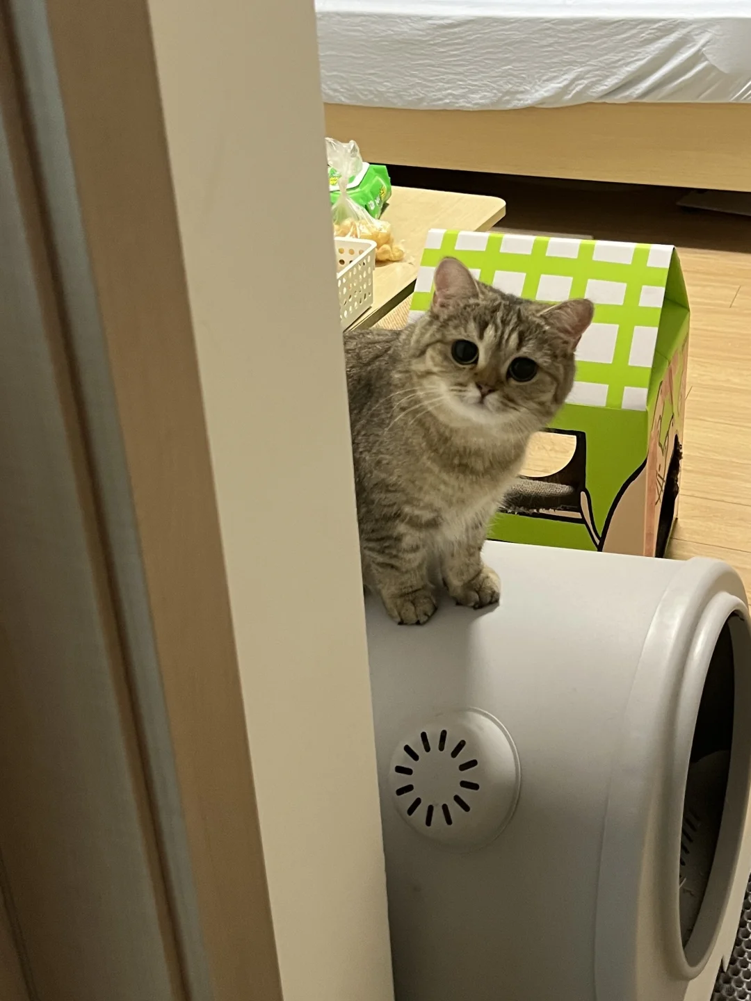 你打工回来啦👀
