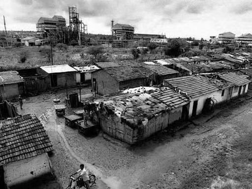 印度又不是没玩过 死了几十万人

印度不是没搞过化肥，但玩砸了，代价是几十万条人