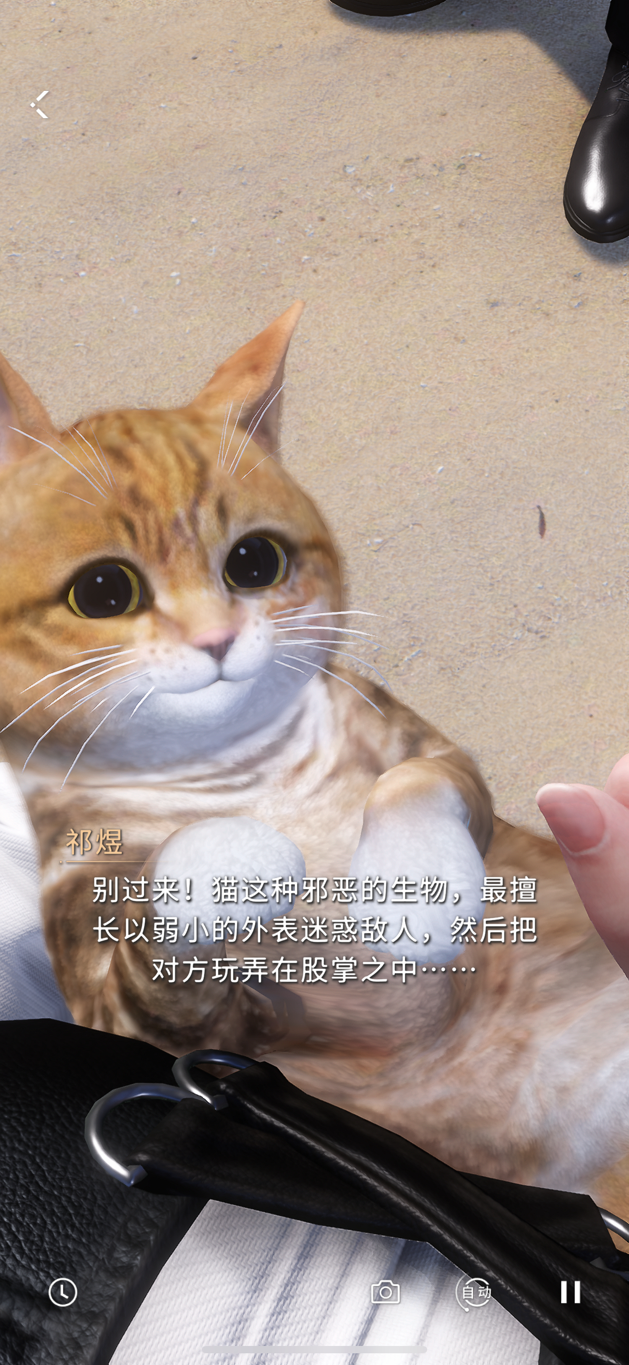 萌！ ​​​