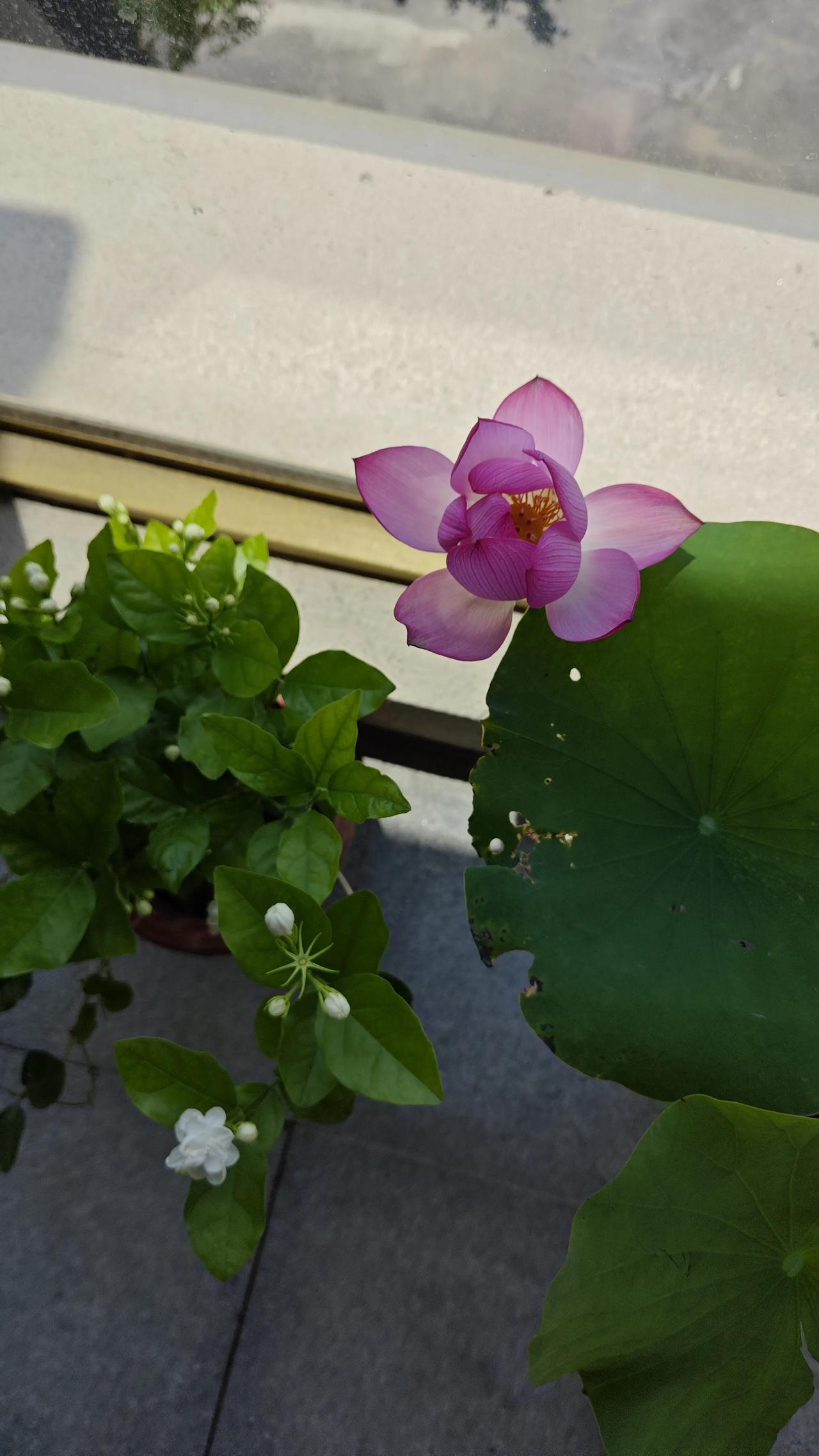 能把日子越过越顺的人，都悄悄掌握了这个能力

我是"高等教育文摘"，深耕教育学、