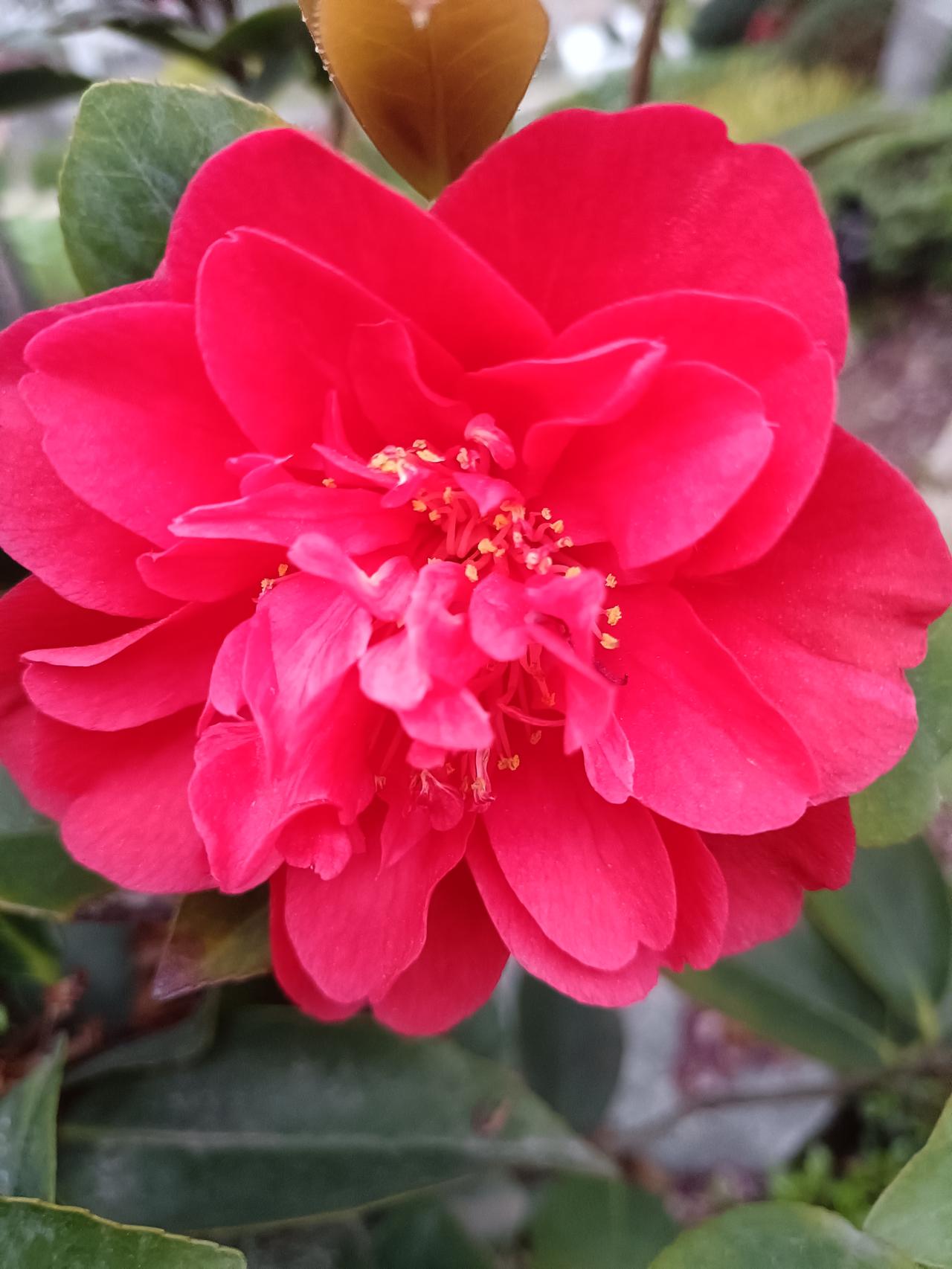 你能坚持每天发文吗