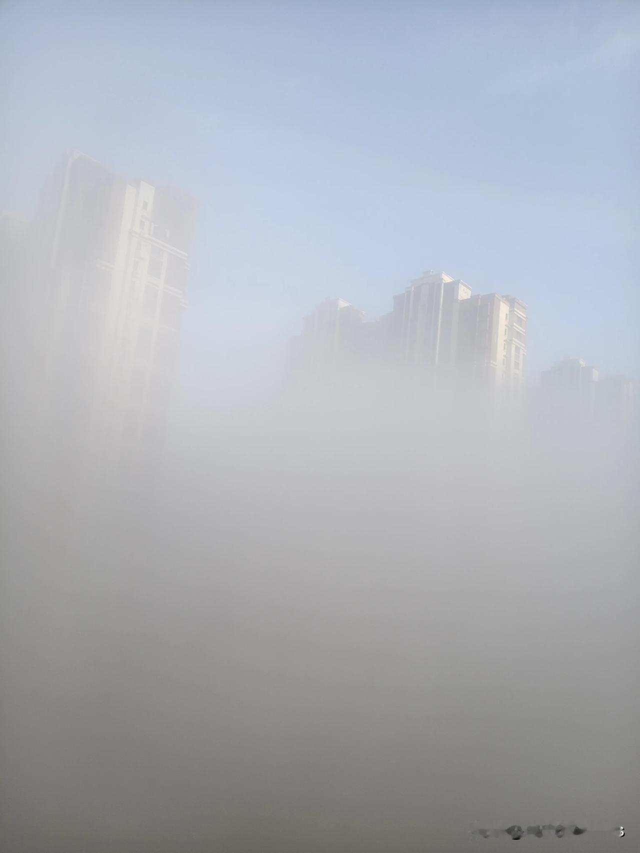 来这里啊
平流雾三天两头有
一天天云里雾里滴[呲牙]
无美颜滤镜特效奥！青岛晨雾
