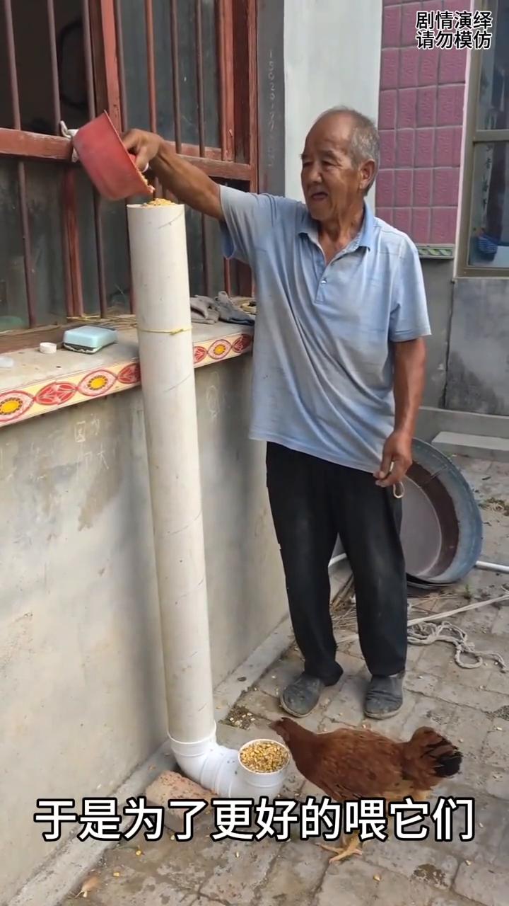 大爷做的喂鸡管子太实用了。
大爷为了几只老母鸡，于是为了更好的喂它们。随后大爷用