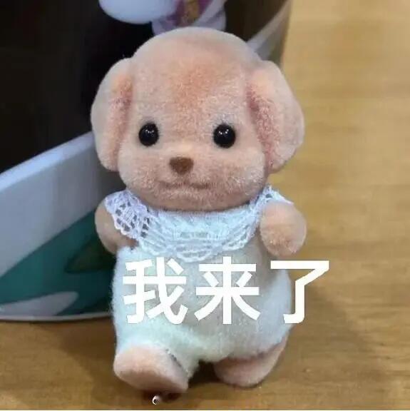 十二月对厂妹好点😊 