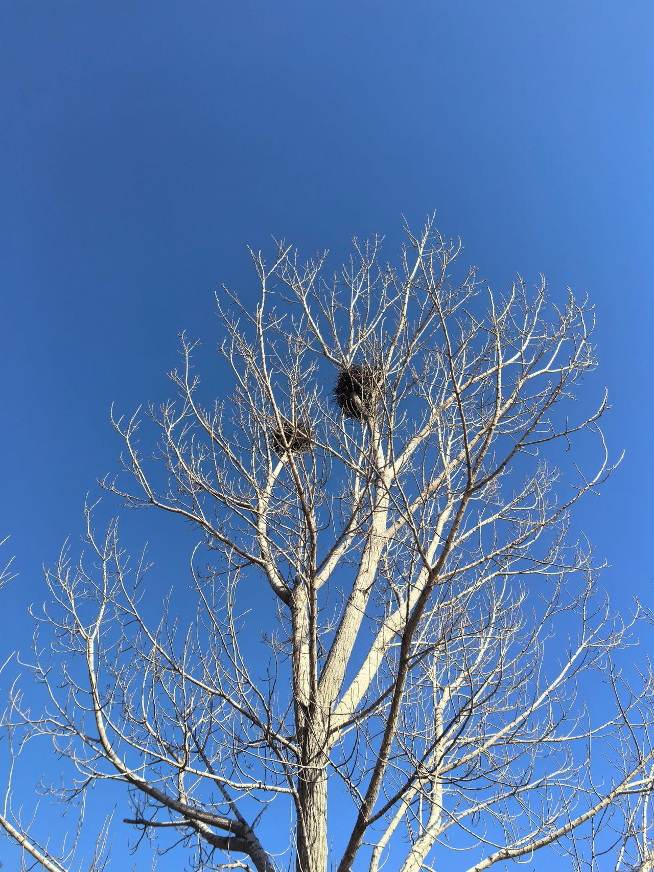 3月5日，我们迎来了惊蛰节气。
惊蛰是二十四节气中的第三个节气，也是最有生命力的