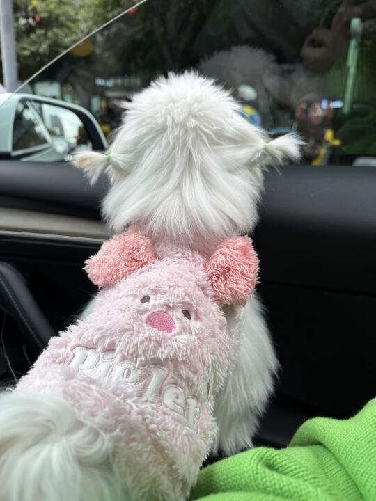 这个辫子看起来就不好惹！