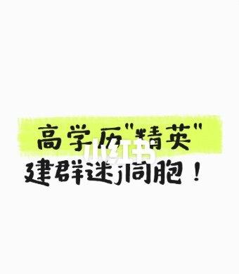 高学历"精英"建群迷j同胞！德国迷j案审判了
📌这是一个在国外的隐秘角落，针对