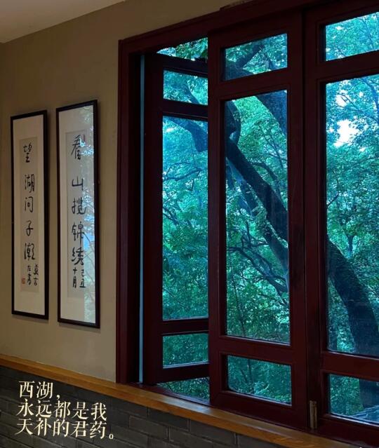 若无闲事挂心头，关于天补的君药…