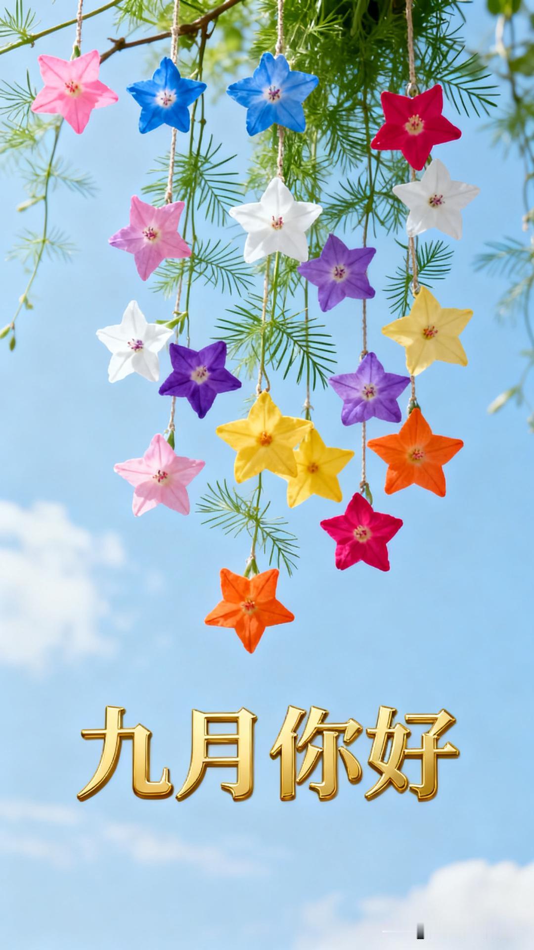2026/09/01/（农历七月廿十）星期二早上好！色彩缤纷的花儿在蓝天下摇曳。
