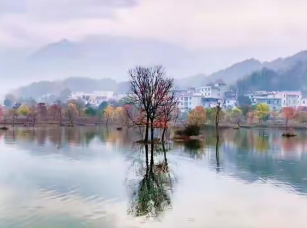 分享一下你随手拍下的照片